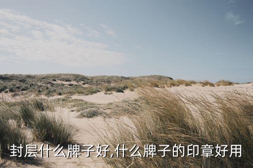 通用封层什么牌子好,什么牌子的印章好用?