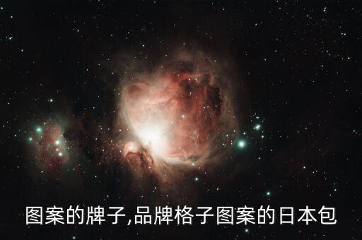 格子图案的牌子,品牌格子图案的日本包
