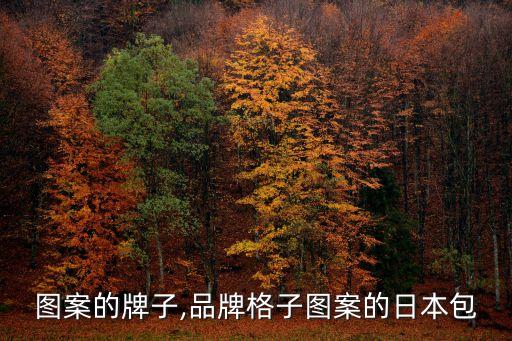图案的牌子,品牌格子图案的日本包