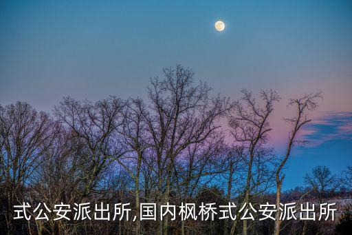 枫桥式公安派出所,国内枫桥式公安派出所