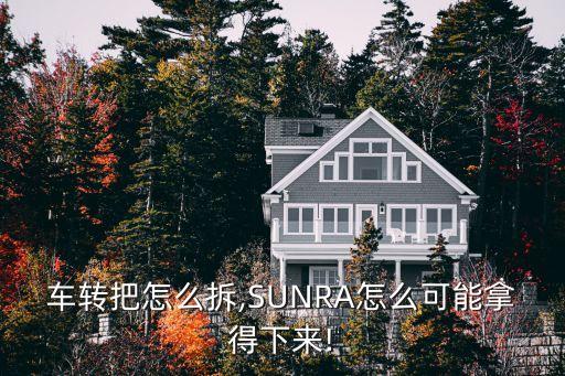 电动车转把怎么拆,SUNRA怎么可能拿得下来!
