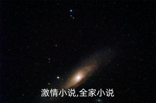乡村激情小说,全家小说