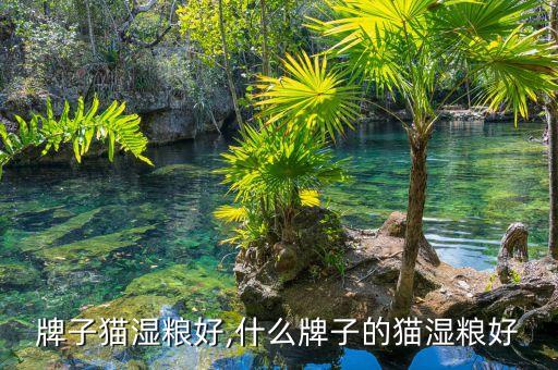 牌子猫湿粮好,什么牌子的猫湿粮好