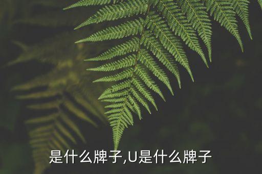 uj是什么牌子,U是什么牌子?