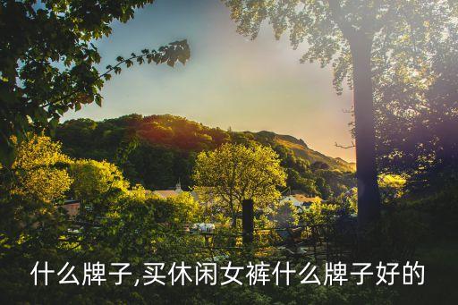 什么牌子,买休闲女裤什么牌子好的