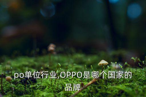 po单位行业,OPPO是哪个国家的品牌