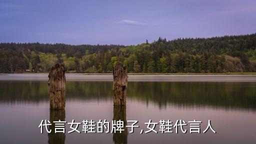 代言女鞋的牌子,女鞋代言人
