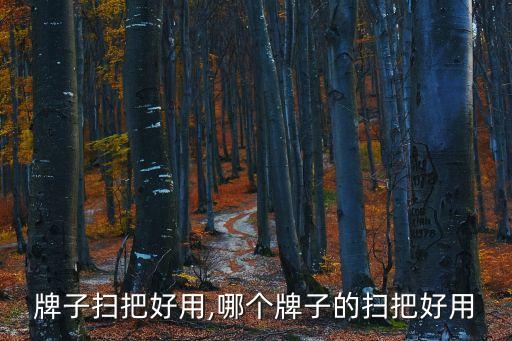 牌子扫把好用,哪个牌子的扫把好用