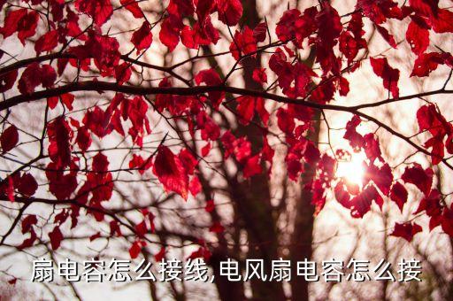 落地扇电容怎么接线,电风扇电容怎么接?