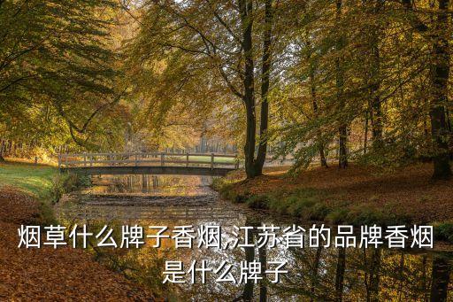 无锡烟草什么牌子香烟,江苏省的品牌香烟是什么牌子?