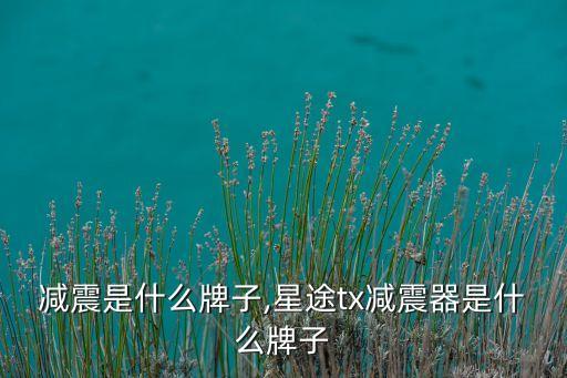 减震是什么牌子,星途tx减震器是什么牌子
