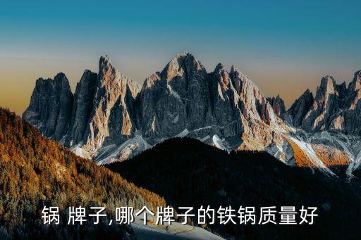生铁锅 牌子,哪个牌子的铁锅质量好?