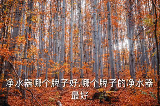 农村净水器哪个牌子好,哪个牌子的净水器最好