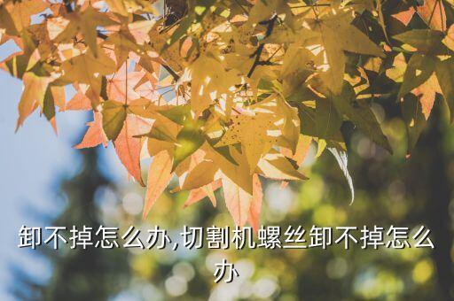 卸不掉怎么办,切割机螺丝卸不掉怎么办