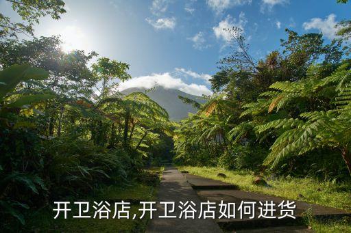 怎么开卫浴店,开卫浴店如何进货?