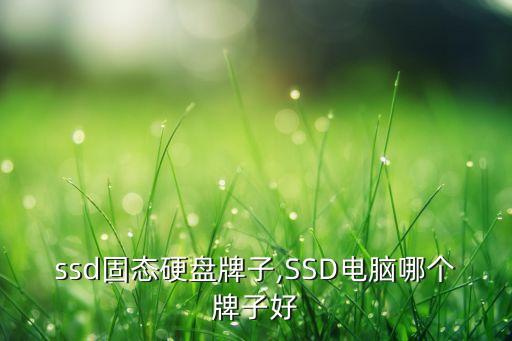 ssd固态硬盘牌子,SSD电脑哪个牌子好