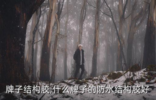 什么牌子结构胶,什么牌子的防水结构胶好?