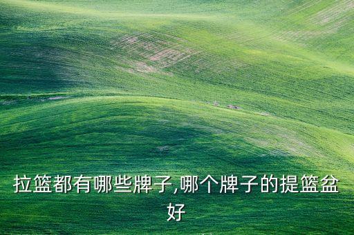 水盆拉篮都有哪些牌子,哪个牌子的提篮盆好?