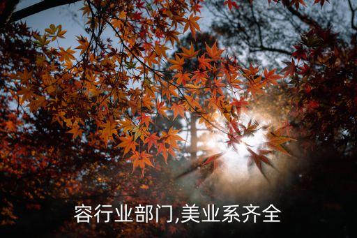 对美容行业部门,美业系齐全