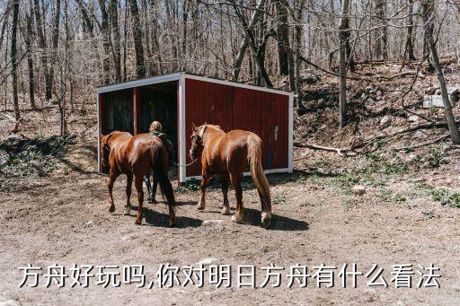 明日方舟好玩吗,你对明日方舟有什么看法?