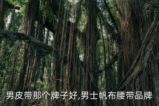 帆布男皮带那个牌子好,男士帆布腰带品牌