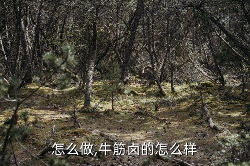 牛健怎么做,牛筋卤的怎么样?