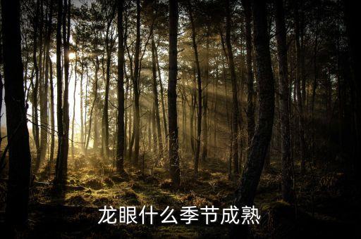 龙眼什么季节成熟