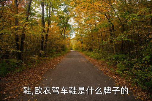 鞋,欧农驾车鞋是什么牌子的