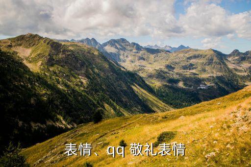 表情、qq 敬礼表情