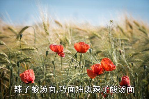 辣子酸汤面,巧面油泼辣子酸汤面