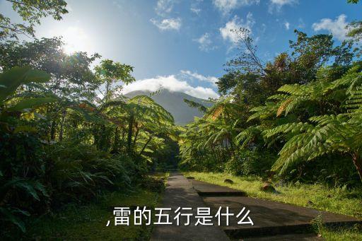 磊子,雷的五行是什么?