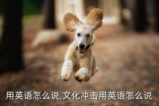 冲击用英语怎么说,文化冲击用英语怎么说
