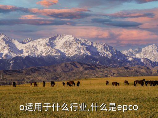epo适用于什么行业,什么是epco?