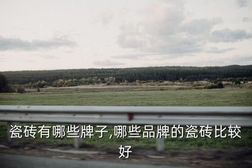 昆山瓷砖有哪些牌子,哪些品牌的瓷砖比较好?