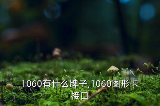 显卡1060有什么牌子,1060图形卡接口