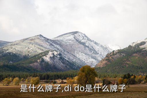是什么牌子,di do是什么牌子