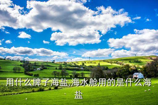 用什么牌子海盐,海水舱用的是什么海盐