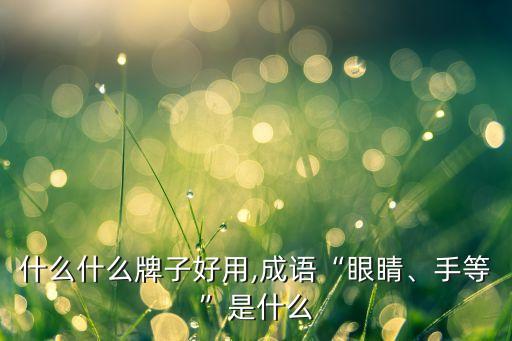 什么什么牌子好用,成语“眼睛、手等”是什么