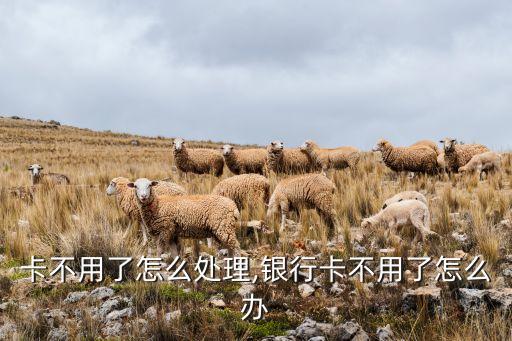储蓄卡不用了怎么处理,银行卡不用了怎么办?