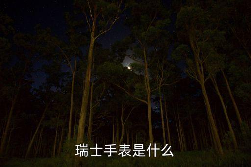 ZP瑞士手表是什么?