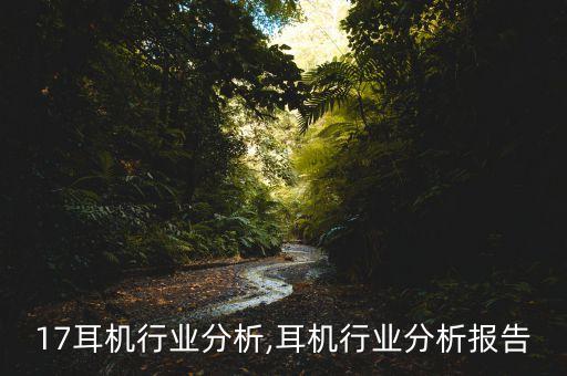2017耳机行业分析,耳机行业分析报告