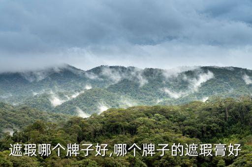 彩色遮瑕哪个牌子好,哪个牌子的遮瑕膏好?