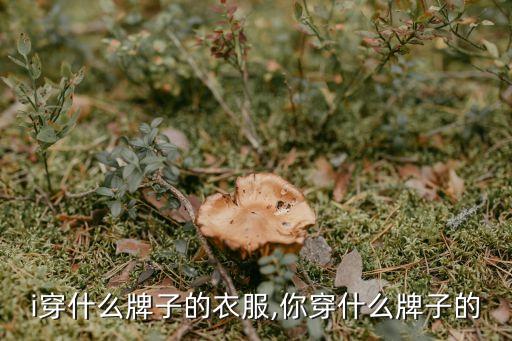 i穿什么牌子的衣服,你穿什么牌子的