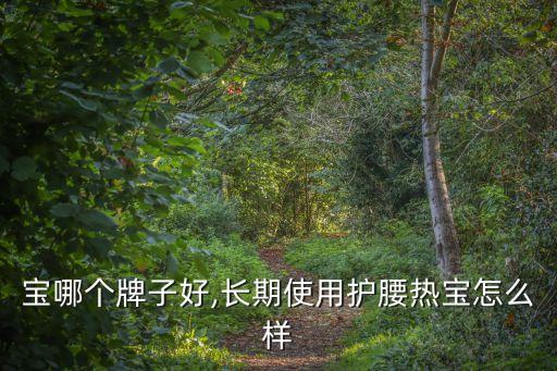 护腰宝哪个牌子好,长期使用护腰热宝怎么样?