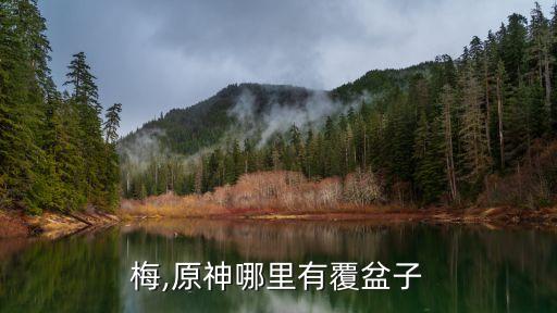 落落梅,原神哪里有覆盆子?