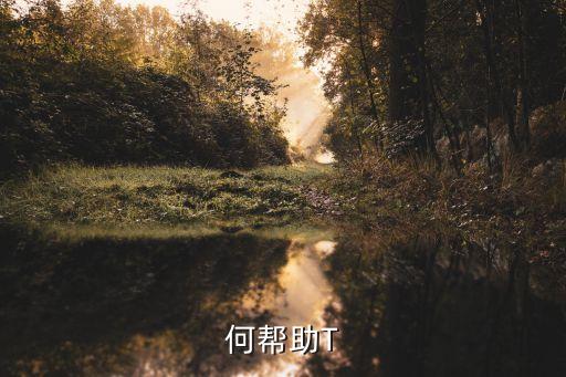 P如何帮助T