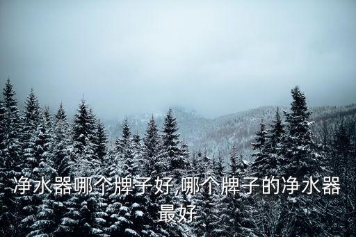 净水器哪个牌子好,哪个牌子的净水器最好