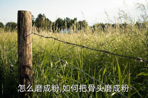 怎么磨成粉,如何把骨头磨成粉