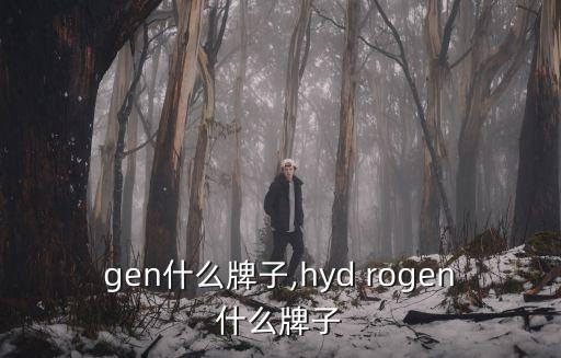 rogen什么牌子,hyd rogen什么牌子