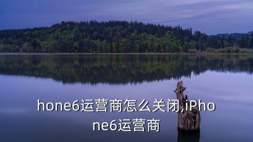 hone6运营商怎么关闭,iPhone6运营商